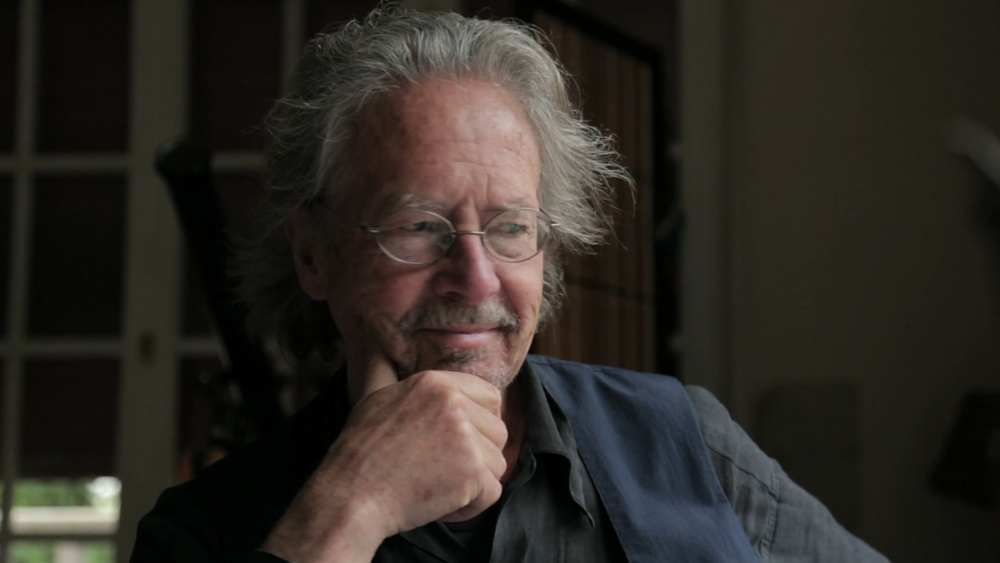 Audiodeskription audioskript: Peter Handke - Bin im Wald. Kann sein, dass ich mich verspäte